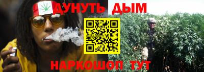 винт Аша