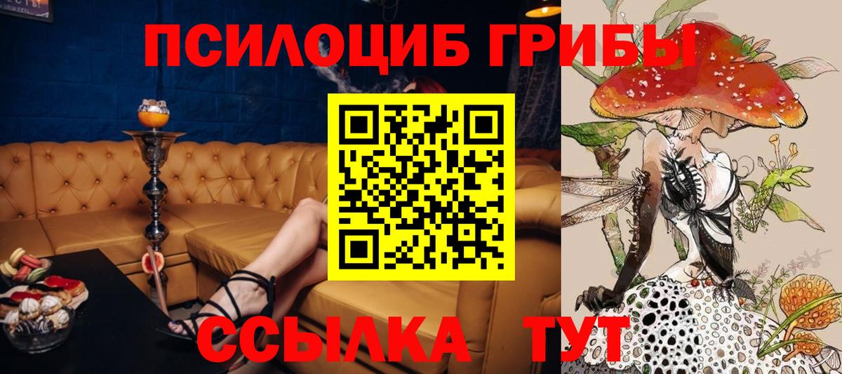 Галлюциногенные грибы MAGIC MUSHROOMS Касимов