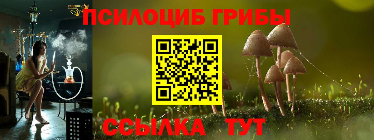 купить закладку  Галлюциногенные грибы ЛСД  Вход с VPN  Касимов  Псилоцибиновые грибы мухоморы 